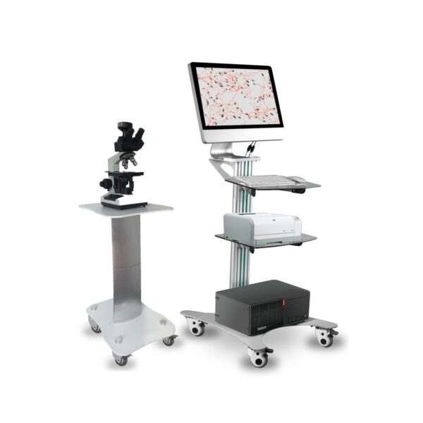 Sperm Analyzer